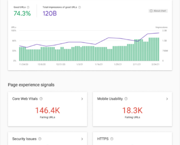 Page Experience Report Search Console