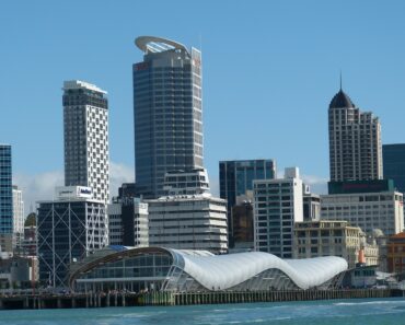 SEO Agencies In Auckland