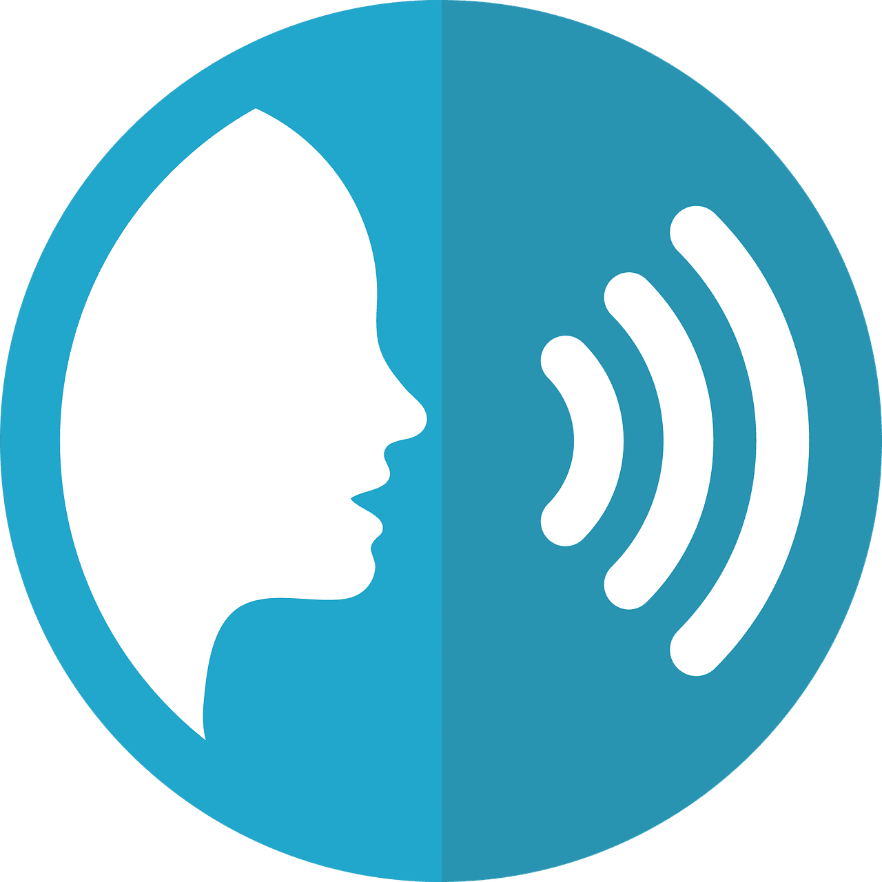 voice search app